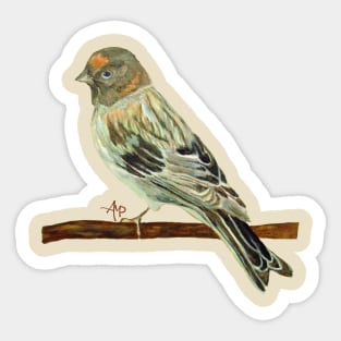 Red-Fronted Serin Sticker
